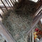 phoca_thumb_m_ke krmelci 16 Fotogalerie